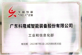 專精特新'小巨人'企業(yè)